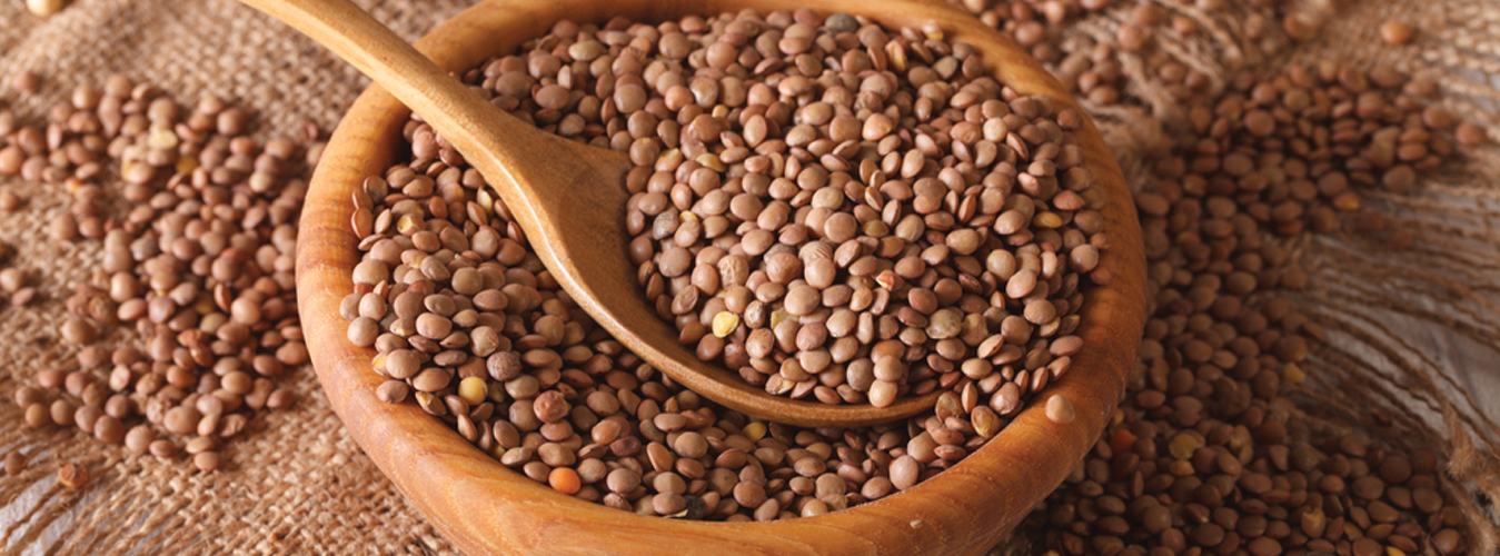 Brown Lentils